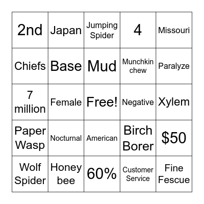 Stewart's Bingo Card