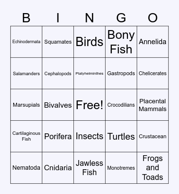 Animal Phylum BINGO Card