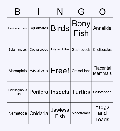 Animal Phylum BINGO Card
