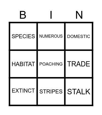 SAVE THE BIG CAT Bingo Card