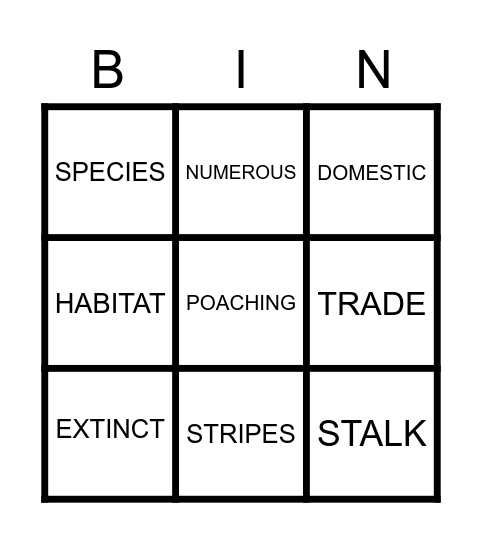 SAVE THE BIG CAT Bingo Card