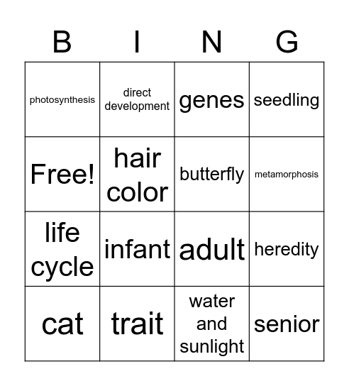 Life Cycle Bingo Card