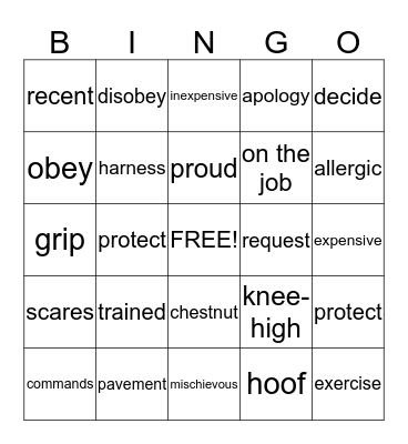 Follow That Horse! Bingo Card