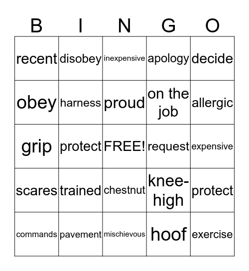 Follow That Horse! Bingo Card
