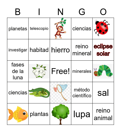 Bingo de Ciencias Bingo Card