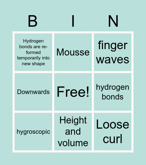 Dressing Hair Recap Bingo Card