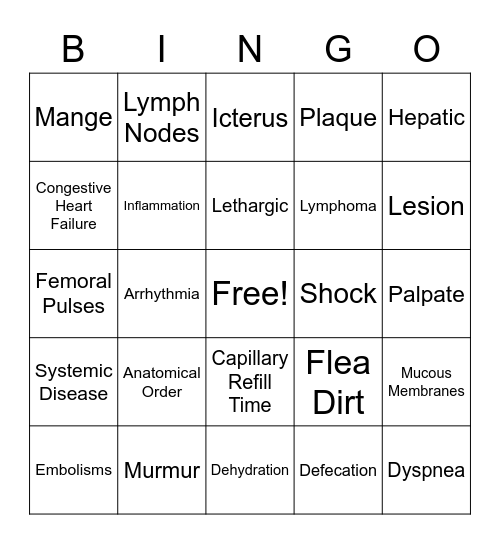 Vocabulary Review Bingo Card