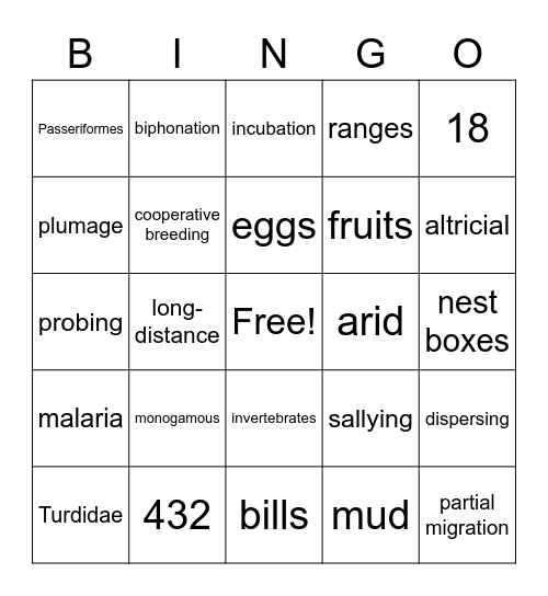 Turdidae Bingo Card