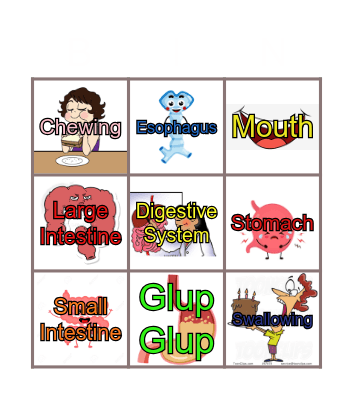 Digestive System Bingo Card
