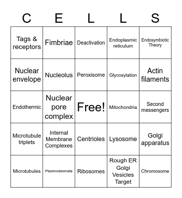 Cells and Interactions Bingo Card