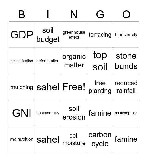 Desertification Bingo Card