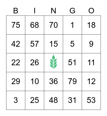 Grace Bridge Bingo Card