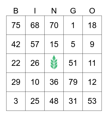 Grace Bridge Bingo Card