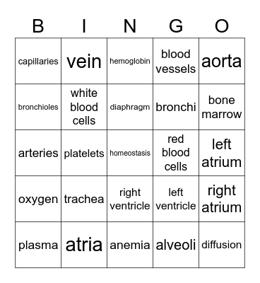 Circulatory/ Respiratory System Bingo Card