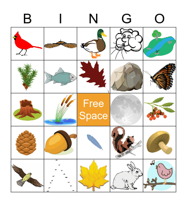 Fall Bingo Card