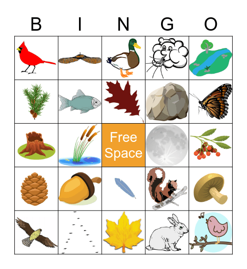 Fall Bingo Card