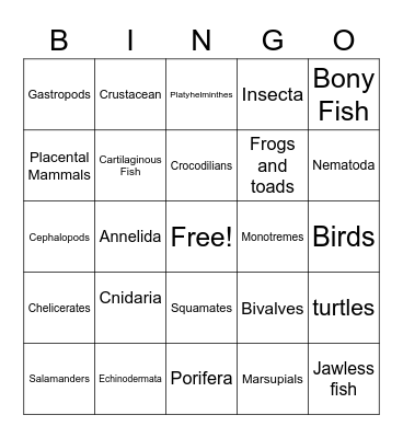 Animal Phylum Bingo Card