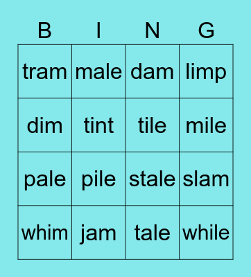 a (with an & am), a-e; i, i-e Bingo Card