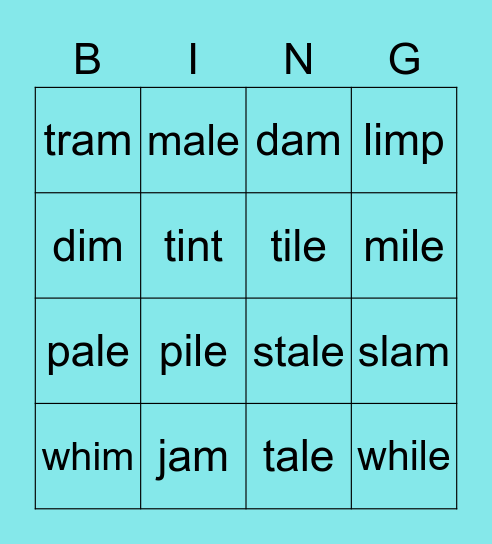 a (with an & am), a-e; i, i-e Bingo Card