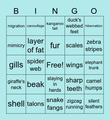 Animal Adaptations Bingo Card