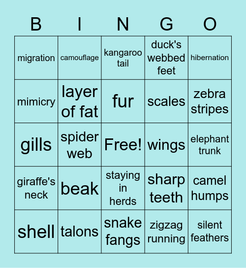 Animal Adaptations Bingo Card