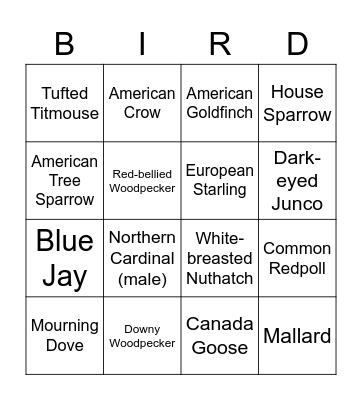 Winter Birds NY Bingo Card