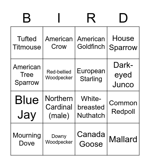 Winter Birds NY Bingo Card