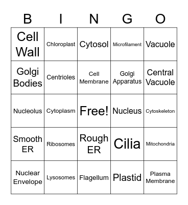Cell Organelles Bingo Card