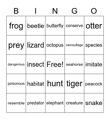 Vocabulary Practice Animals Bingo Card