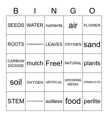 Plant Parts/Functions Review Bingo Card