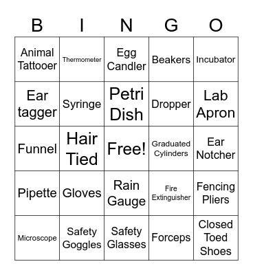 Lab. Tools/Safety Bingo Card