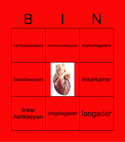 HV2_T3_Het hart Bingo Card