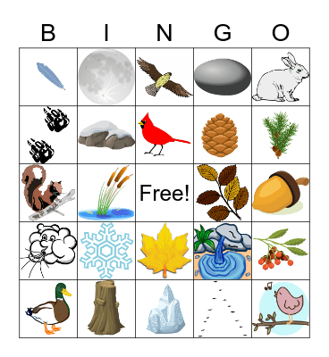 Summer Bingo Card