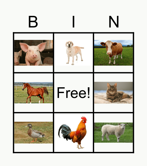 Farm Animals Bingo Card