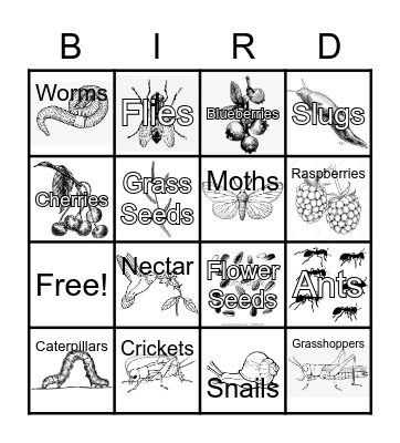 Bird Food BINGO! Bingo Card