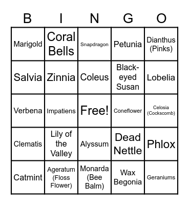 Perennials & Annuals Bingo Card