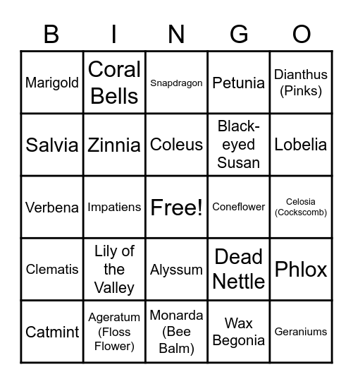 Perennials & Annuals Bingo Card