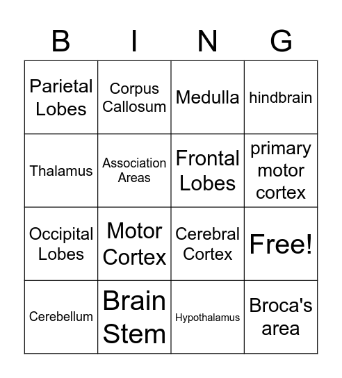 Brain Bingo Card