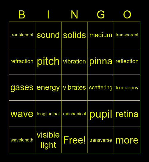sound waves parts of the eye and ears Bingo Card