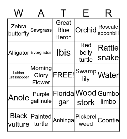 EVERGLADES Bingo Card