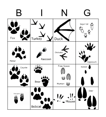 Animal Track Bingo Card