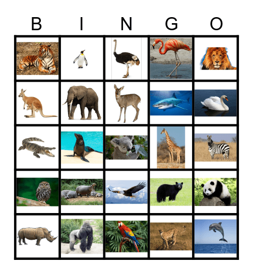 Animals (pictures) Bingo Card