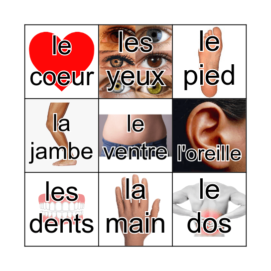 Les parties du corps Bingo Card