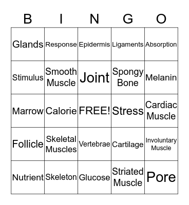All Body Systems Bingo Card