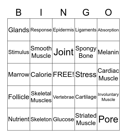 All Body Systems Bingo Card