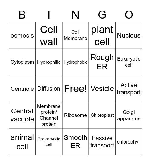 Cell Organelles Bingo Card