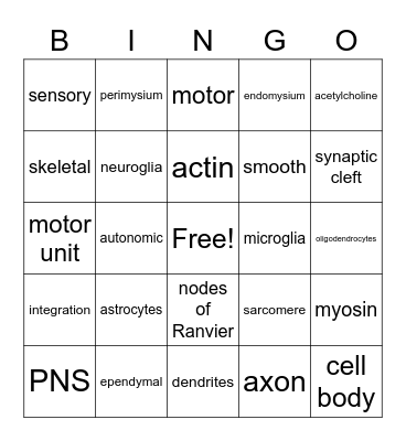 A&P Chapter 7 part 1 Bingo Card