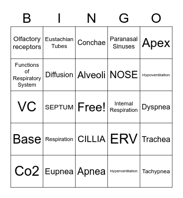 Respiratory System Bingo Card