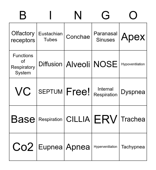 Respiratory System Bingo Card