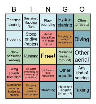 Avian Locomotion Bingo Card